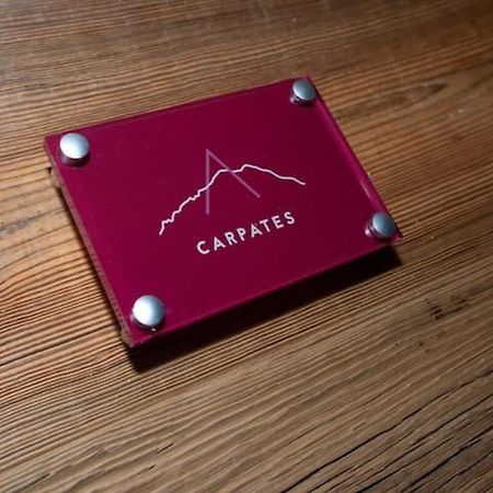 Carpates Annecy Rent Lodge 外观 照片